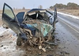 Два взрослых человека погибли и еще один подросток пострадал в результате страшной аварии на трассе под Волгоградом.