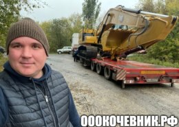 Вырубка, выкорчёвка, переработка в щепу деревьев и корней
