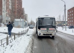 На остановке в центре Омска автобус сбил пенсионерку