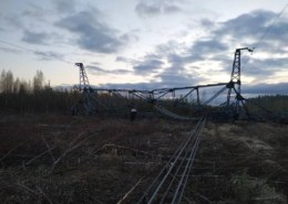 На опорах линий электропередач под Гатчиной силовики нашли еще шесть предметов, похожих на взрывные устройства.