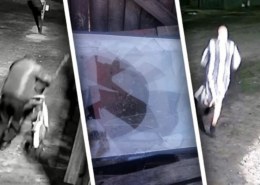 Многодетной семье из Новосибирской области снова выбили стекла в доме. Инцидент произошел в ночь на 12 мая в Барабинске.