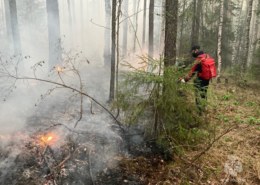 За сутки огнеборцы ликвидировали 11 природных пожаров