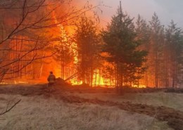 Село Стриганово спасают от лесного пожара — местных жителей эвакуировали.