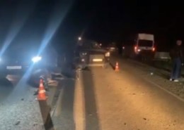 Пять человек пострадали в аварии из-за того, что лось неожиданно выскочил на дорогу.