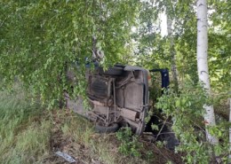 Двое мужчин погибли после столкновения машины с деревом в Омской области