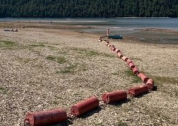 Из-за обмеления Павловского водохранилища в Башкирии закрыты многие пляжи