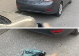 В Мурино с многоэтажки сбросили чихуахуа