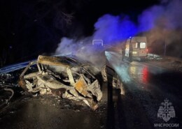 Ребенок и двое взрослых погибли в страшном ДТП в Навашинском районе